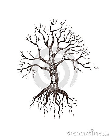 Big leafless tree Vector Illustration