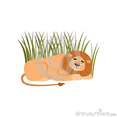 Big lion sleeping in the grass isolated on white background Vector Illustration