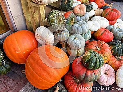 Big and Little Pumpkins for Sale in September Stock Photo