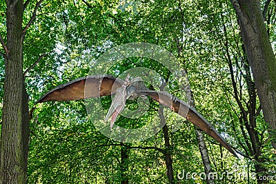 Prehistoric flying dinosaur Pteranodon in nature Editorial Stock Photo