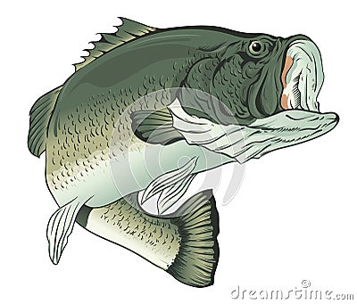 Big Mouth Bass Vector Illustration