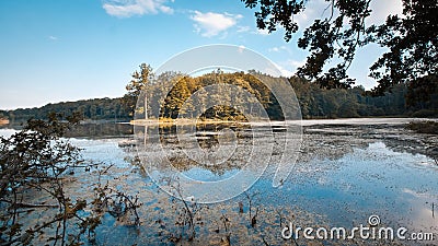 Big natural lake in forest on sunny summer midday with deep blue sky, still water surface, nature panorama tinted background photo Stock Photo