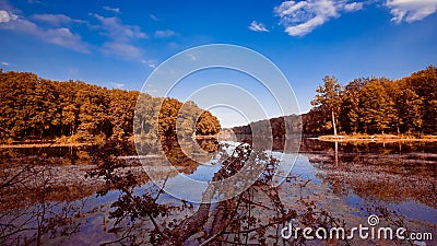 Big natural forest lake on sunny summer midday with deep blue sky, still water surface, nature panorama background photo Stock Photo