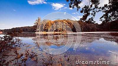 Big natural lake in forest on sunny summer midday with deep blue sky, still water surface, nature panorama background photo Stock Photo