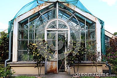 A big old glass greenhouse with plants inside and out Stock Photo