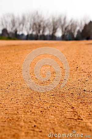 Big orange land and brown trees in winter Stock Photo