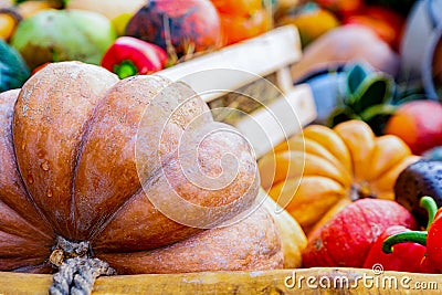 Big orange ribbed pumpkin close up against the background of autumn vegetables red pepper Stock Photo