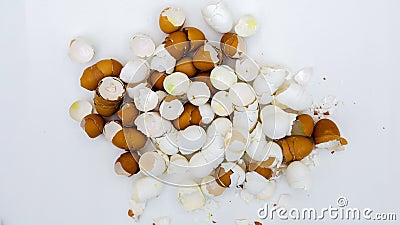 A bunch of chicken eggshell Stock Photo