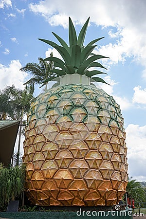 Big Pineapple in Queensland Australia Editorial Stock Photo