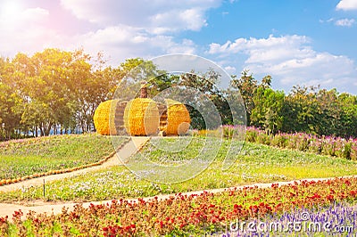 Big pumpkin is made from corn at the big farm at Jim Thompson farm Stock Photo