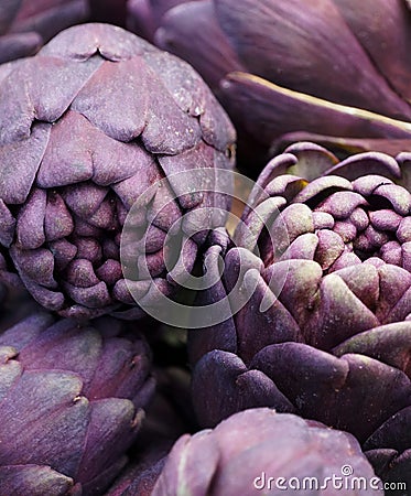 Big purple artichokes Stock Photo