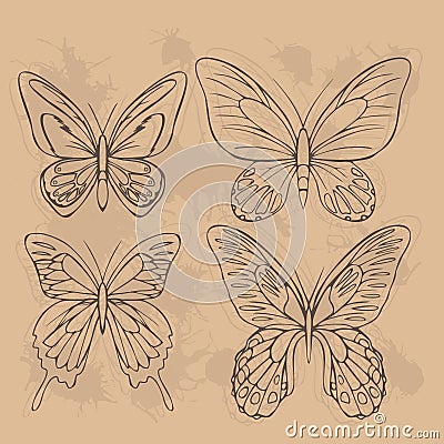 Big realistic collection of colorful butterflies. Ornithoptera croesus and goliath, papilionidae rumanzovia and ulysses, summer fl Stock Photo