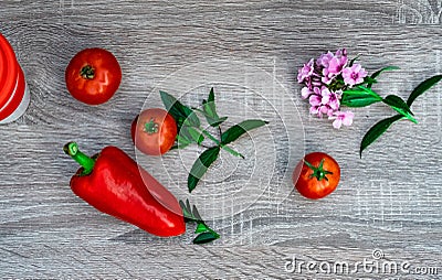 big red pepper, three red tomatoes, violet and mint, objective photography Stock Photo