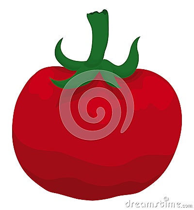 Big and red ripe tomato with stem over white background, Vector illustration Vector Illustration