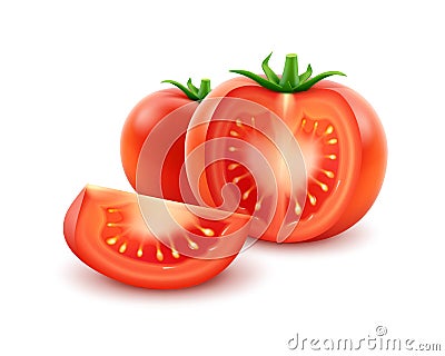 Big Ripe Red Fresh Cut Whole Tomato Close up Isolated on White Background Vector Illustration