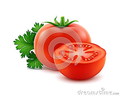 Big Ripe Red Fresh Cut Whole Tomatoes with Parsley Close up Isolated on White Background Vector Illustration