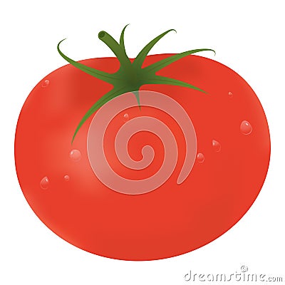 Big ripe red fresh tomato on a white background. Vector Illustration