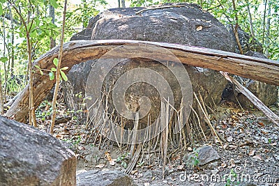 Big rock supported by small twig Stock Photo