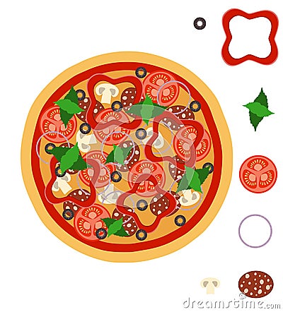 big round pizza with cheese tomato salami olive champignon onion stock vector illustration Vector Illustration