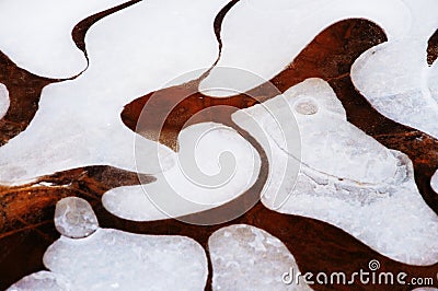 Big rounded frozen abstract pattern Stock Photo