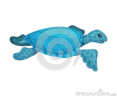 Blue turtle. Vector illustration on a white background. Vector Illustration