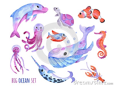 Big sea collection with cute whale, dolphin, narwhal, fish, clownfish, seahorse, turtle, jellyfish, crawfish. Big ocean set of Stock Photo