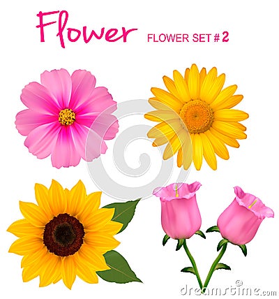 Big set of beautiful colorful flowers. Vector Illustration