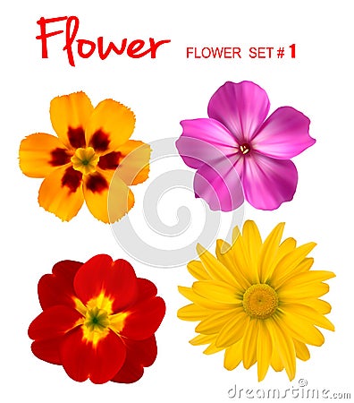 Big set of beautiful colorful flowers. Vector Illustration