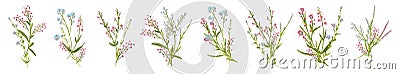 Big set botanical floral elements. Small drawing branches, leaves, herbs, wild plants, flowers. Collection leaf, foliage Vector Illustration