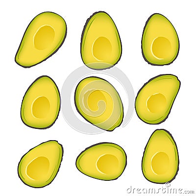Big set of Brown mature Haas avocado. Halved avocados isolated on white background. Slices of avocado Vector Illustration