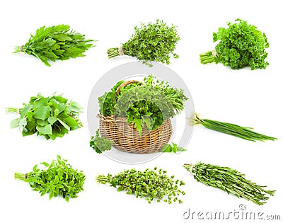 Big Set of Bunches and Basket of fresh Spice Herbs / isolated Stock Photo