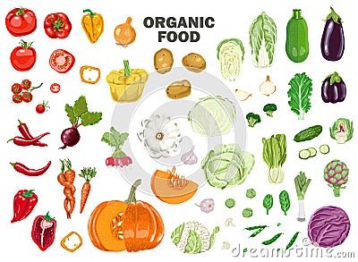 Big set of colored vegetables. Vector Illustration