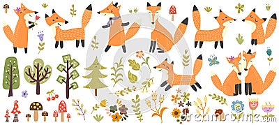 Big set of cute foxes, trees and plants. Forest elements collection Vector Illustration