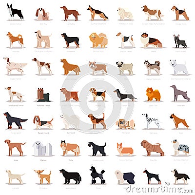 Big set of flat dogicons Vector Illustration