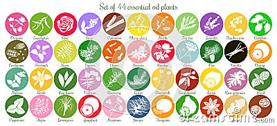 Big set of 44 flat essential oil labels. White Silhouettes Vector Illustration