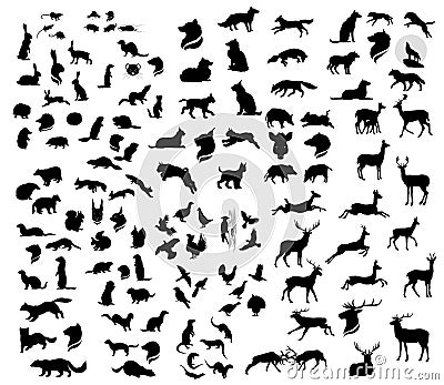 The big set of forest vector animals silhouettes. Vector Illustration