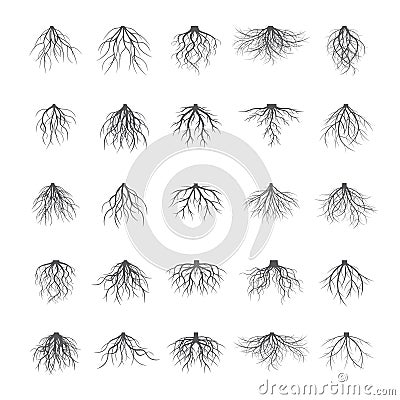 Big Set of Grey Roots. Vector Illustration