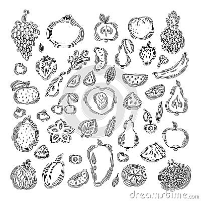 Big set of hand drawn fruit and berries icons. Summer fruit collection. Sketch, doodle style Vector Illustration