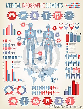 Big set of medical infographics elements. Human body with internal organs. Vector Illustration