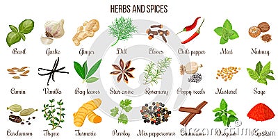 Big set of popular culinary herbs and spices Stock Photo