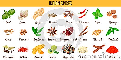 Big set of popular culinary spices silhouettes. Ginger, chili pepper, garlic, nutmeg, anise etc. Stock Photo