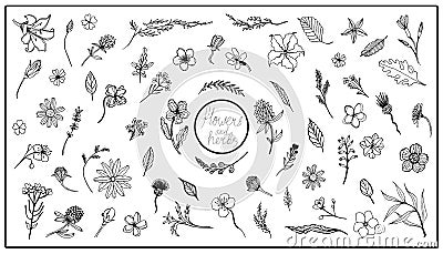 Big set vector elements with flowers , leaves and herbs. Logo design for flower shop, Packaging design, nail art. Vector Illustration