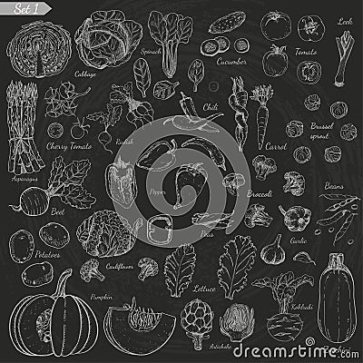 Big set of vegetables in sketch style on black background Vector Illustration