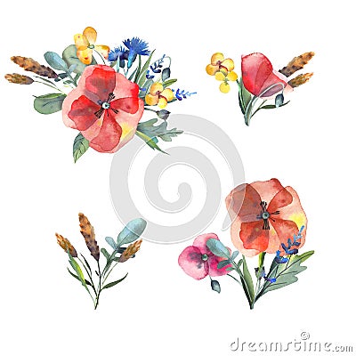 Big set of watercolor elements - leaves, herbs, flowers. Botanical collection include poppies, cornflowers, buttercups, spikelets. Stock Photo