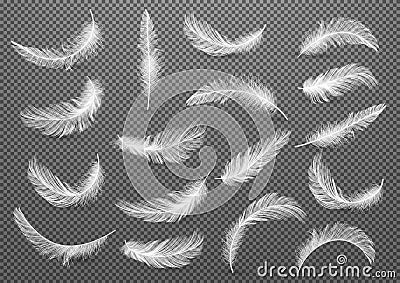 Big set of White Realistic Different Fluffy Twirled Falling Feathers Isolated on Transparency Grid Background. Vector Illustration