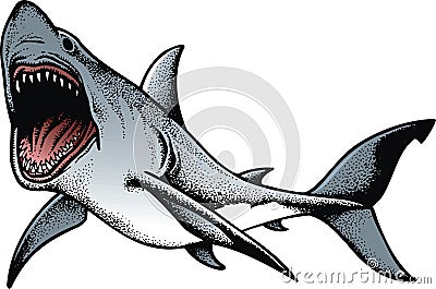 Big shark isolated Vector Illustration