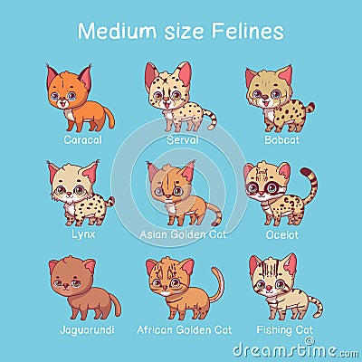 Medium sized feline illustrations with name text Vector Illustration