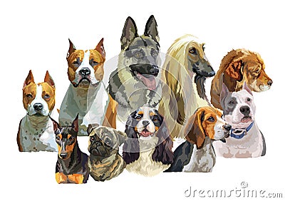 Big and small dog breeds Vector Illustration