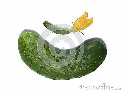Big and small fresh cucumbers Stock Photo