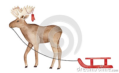 Big smiling walking moose character with warm knitted mittens on antlers, carrying red wooden snow sled. Stock Photo